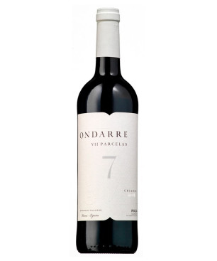 Ondarre 7 Parcelas