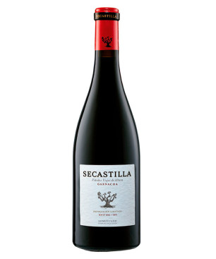 Secastilla