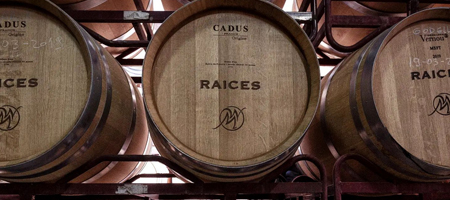 Raíces Ibéricas